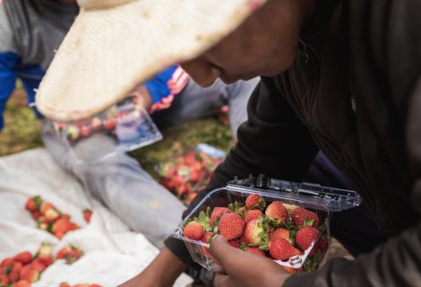 Captura de Pantalla 2021-06-22 a la(s) 18.48.02