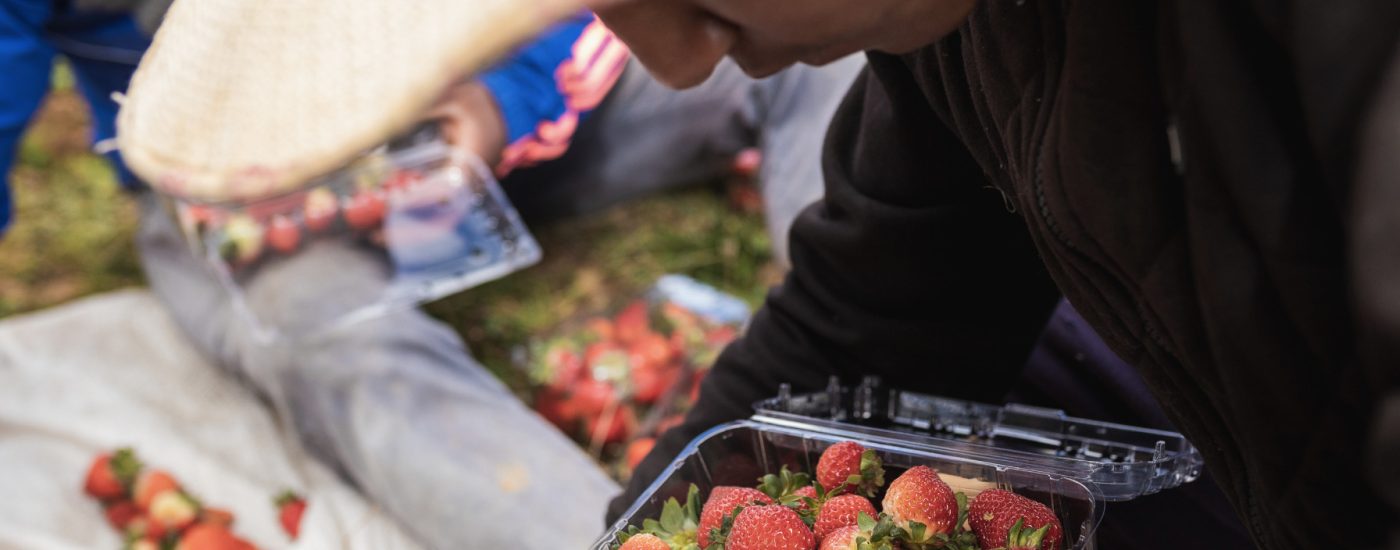 Captura de Pantalla 2021-06-22 a la(s) 18.48.02