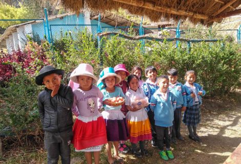 WhatsApp-Image-2022-08-10-at-9.32.29-AM-(1)